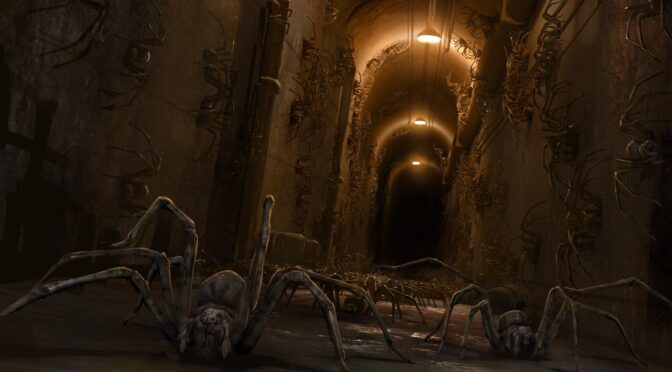 Arachnids in the UK