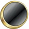 Chief Warrant Officer insignia