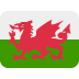 ðŸ´ó §ó ¢ó ·ó ¬ó ³ó ¿