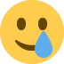 ðŸ¥²